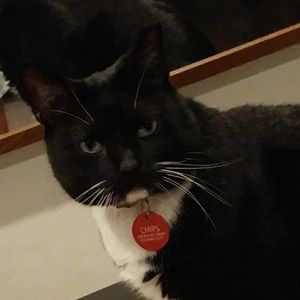 Meet your Posher, Layne